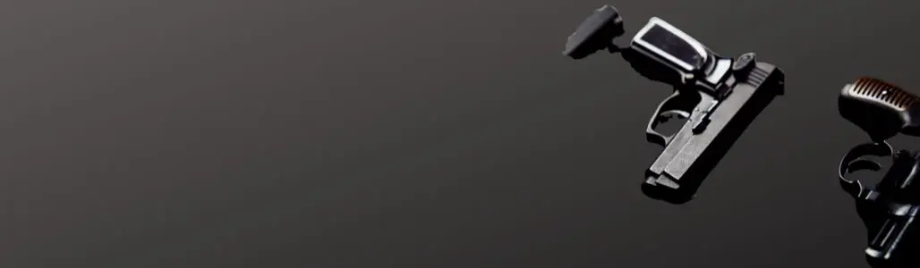 armas de fogo banner